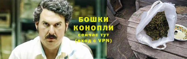 гидра Арсеньев