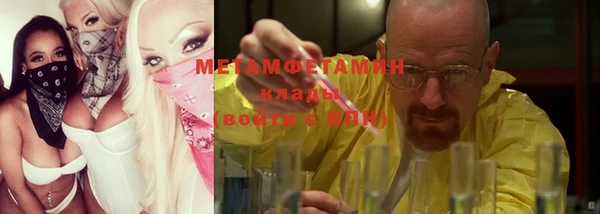 гидра Арсеньев