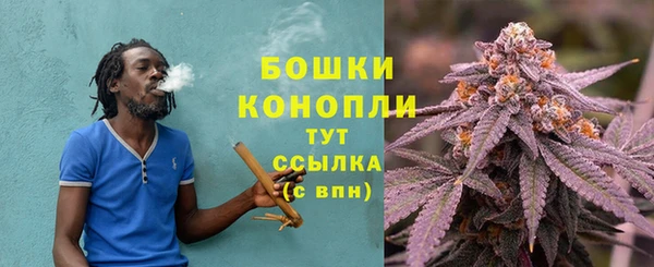 гидра Арсеньев