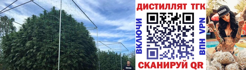 Дистиллят ТГК концентрат  где продают   mega вход  Абаза 