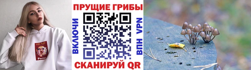 Галлюциногенные грибы мухоморы  купить наркотики сайты  Абаза 